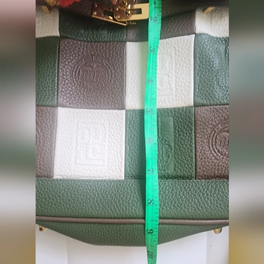 Leo Stytch Elegant‎ Green and Brown Women's Bag